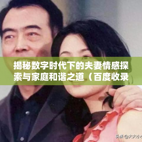 揭秘数字时代下的夫妻情感探索与家庭和谐之道（百度收录标准标题）