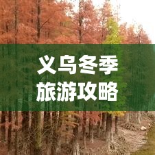 义乌冬季旅游攻略，揭秘冬日美景的独特探索之旅