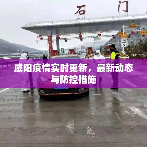 咸阳疫情实时更新，最新动态与防控措施