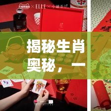 揭秘生肖奥秘，一网打尽，百度解析，探秘究竟！
