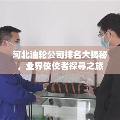 河北油轮公司排名大揭秘，业界佼佼者探寻之旅