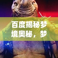 百度揭秘梦境奥秘，梦见水善鱼龟的深层含义解析