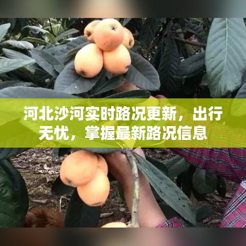 河北沙河实时路况更新，出行无忧，掌握最新路况信息