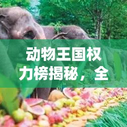 动物王国权力榜揭秘，全球动物排名探秘