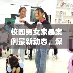 校园男女家暴案例最新动态，深度探讨与揭示