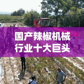 国产辣椒机械行业十大巨头榜单揭晓，引领行业潮流趋势