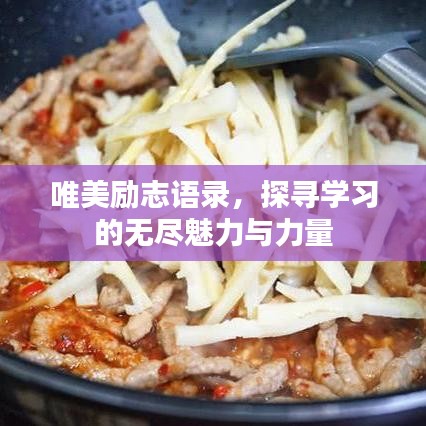 唯美励志语录，探寻学习的无尽魅力与力量