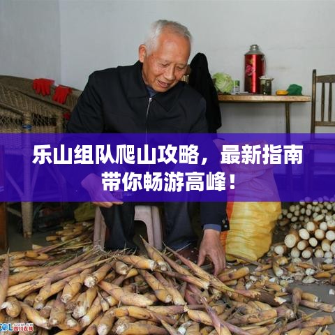乐山组队爬山攻略，最新指南带你畅游高峰！