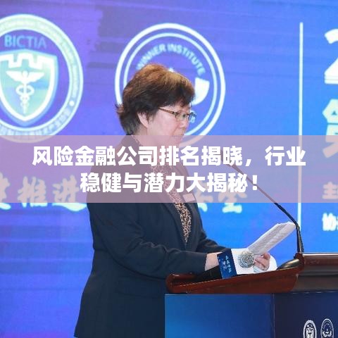 风险金融公司排名揭晓，行业稳健与潜力大揭秘！
