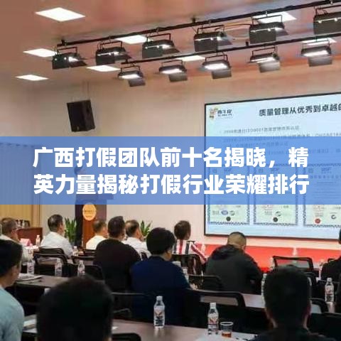 广西打假团队前十名揭晓，精英力量揭秘打假行业荣耀排行