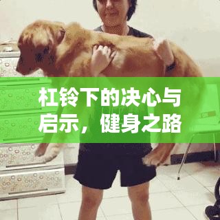 杠铃下的决心与启示，健身之路的奋斗篇章