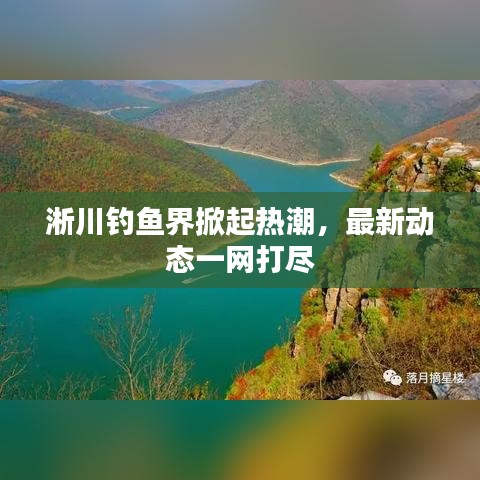 淅川钓鱼界掀起热潮，最新动态一网打尽