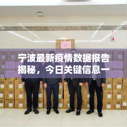 宁波最新疫情数据报告揭秘，今日关键信息一网打尽