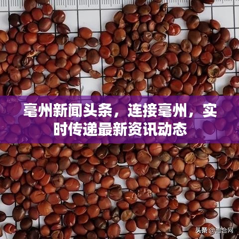 毫州新闻头条，连接毫州，实时传递最新资讯动态