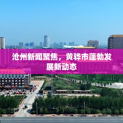 沧州新闻聚焦，黄骅市蓬勃发展新动态