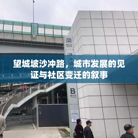 望城坡沙冲路，城市发展的见证与社区变迁的叙事