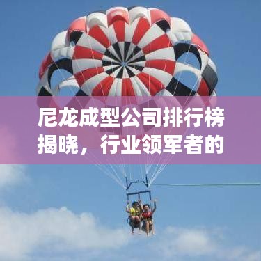 尼龙成型公司排行榜揭晓，行业领军者的成功奥秘探究
