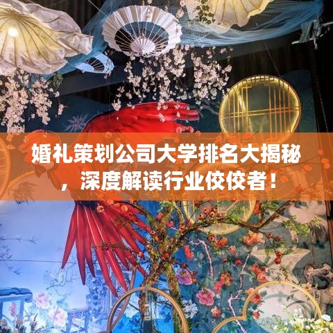 婚礼策划公司大学排名大揭秘，深度解读行业佼佼者！