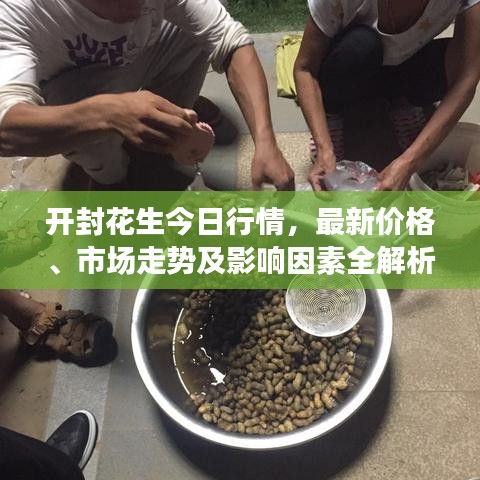 开封花生今日行情，最新价格、市场走势及影响因素全解析