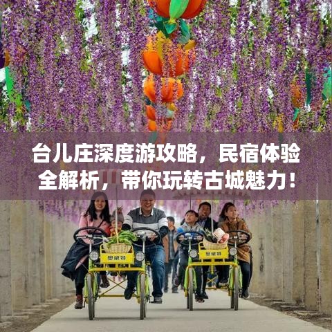台儿庄深度游攻略，民宿体验全解析，带你玩转古城魅力！