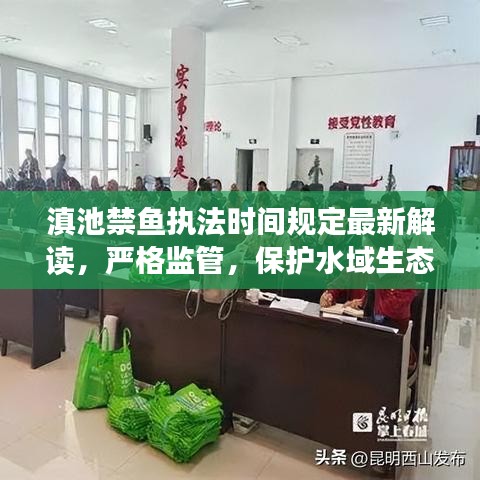 滇池禁鱼执法时间规定最新解读，严格监管，保护水域生态平衡
