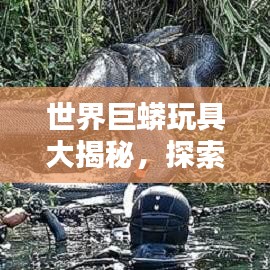 世界巨蟒玩具大揭秘，探索玩具界的霸主地位排名