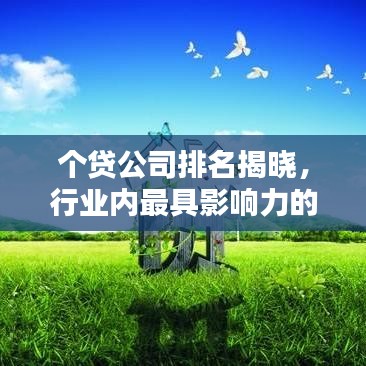 个贷公司排名揭晓，行业内最具影响力的借贷平台榜单！