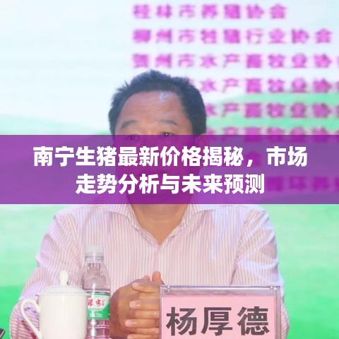南宁生猪最新价格揭秘，市场走势分析与未来预测