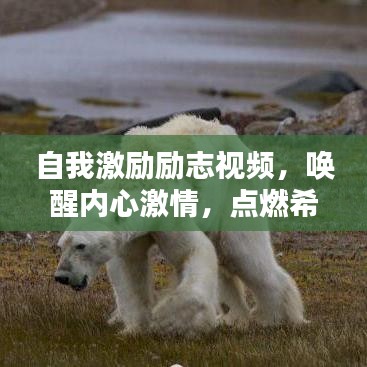 自我激励励志视频，唤醒内心激情，点燃希望之火