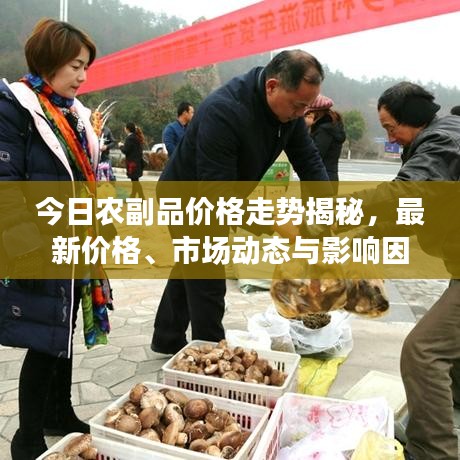 今日农副品价格走势揭秘，最新价格、市场动态与影响因素深度解析