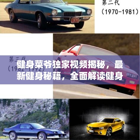 健身菜爷独家视频揭秘，最新健身秘籍，全面解读健身之路！