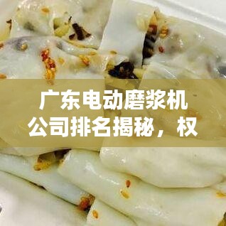 广东电动磨浆机公司排名揭秘，权威榜单，不容错过！