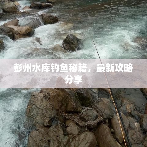 彭州水库钓鱼秘籍，最新攻略分享