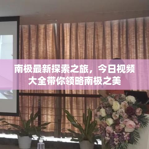 南极最新探索之旅，今日视频大全带你领略南极之美