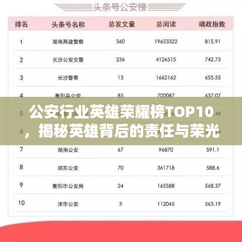 公安行业英雄荣耀榜TOP10，揭秘英雄背后的责任与荣光