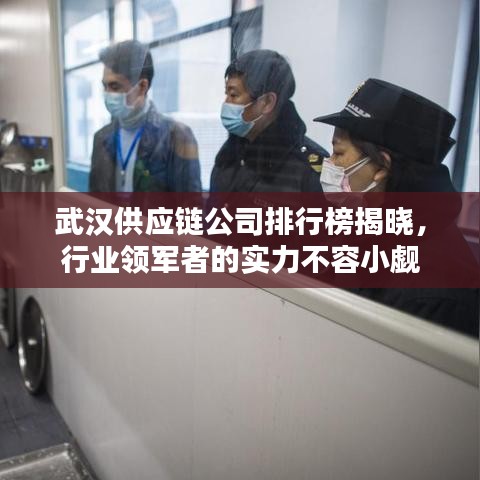 武汉供应链公司排行榜揭晓，行业领军者的实力不容小觑