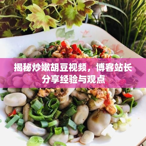 揭秘炒嫩胡豆视频，博客站长分享经验与观点