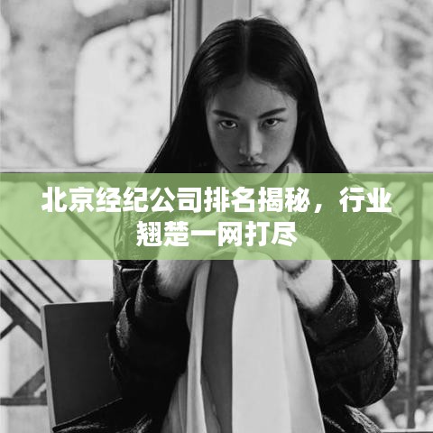 北京经纪公司排名揭秘，行业翘楚一网打尽