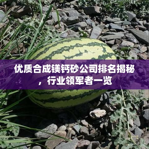 优质合成镁钙砂公司排名揭秘，行业领军者一览