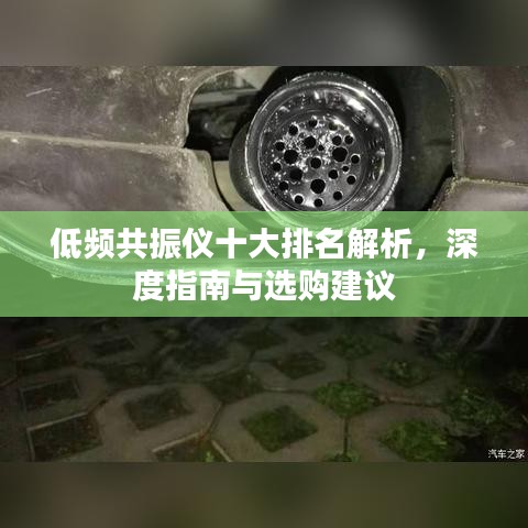 低频共振仪十大排名解析，深度指南与选购建议