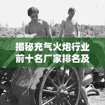 揭秘充气火炮行业前十名厂家排名及深度解析，选购推荐指南