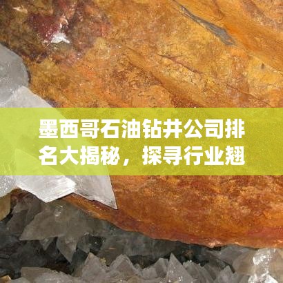 墨西哥石油钻井公司排名大揭秘，探寻行业翘楚！