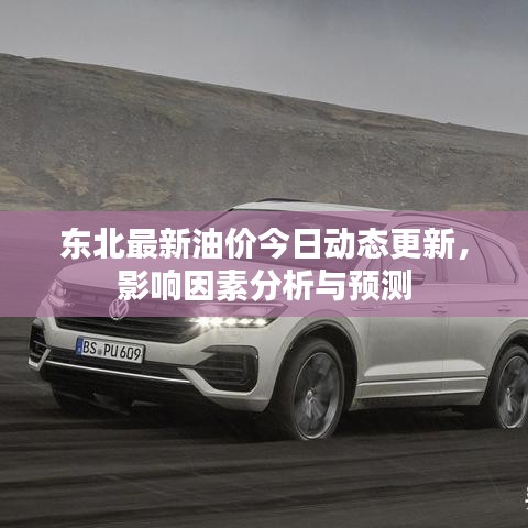 东北最新油价今日动态更新，影响因素分析与预测