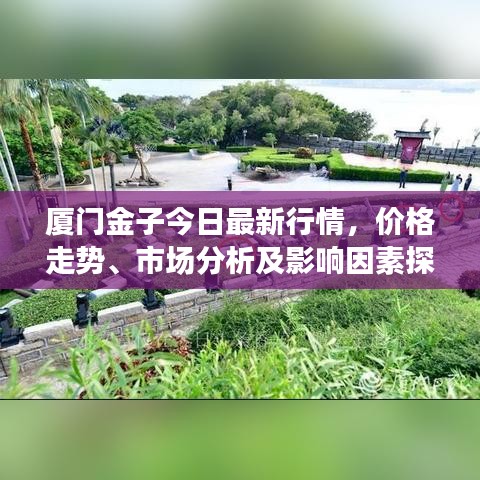 厦门金子今日最新行情，价格走势、市场分析及影响因素探讨