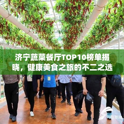 济宁蔬菜餐厅TOP10榜单揭晓，健康美食之旅的不二之选