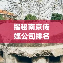 揭秘南京传媒公司排名前十的行业巨头，行业秘密大曝光