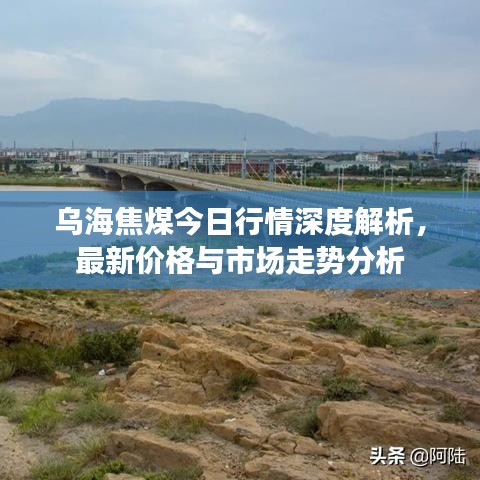 乌海焦煤今日行情深度解析，最新价格与市场走势分析
