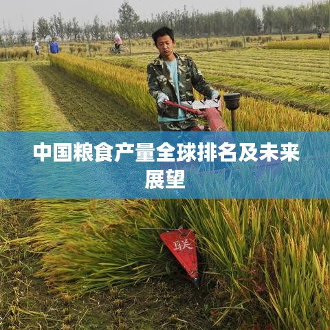 中国粮食产量全球排名及未来展望