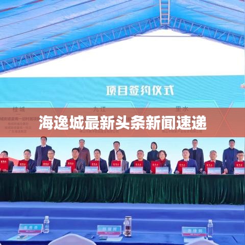 海逸城最新头条新闻速递