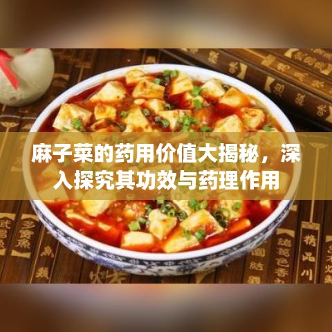 麻子菜的药用价值大揭秘，深入探究其功效与药理作用